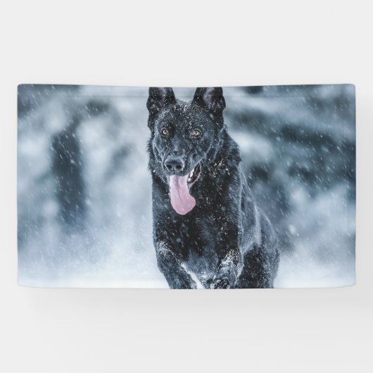 Schwarzer Schäfer im Schnee Banner (Horizontal)
