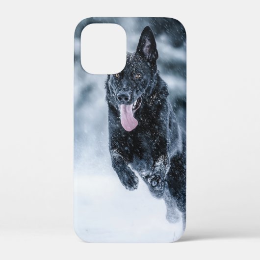 Schwarzer Schäfer im Schnee Case-Mate iPhone Hülle (Rückseite)