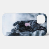 Schwarzer Schäfer im Schnee Case-Mate iPhone Hülle (Rückseite (Horizontal))