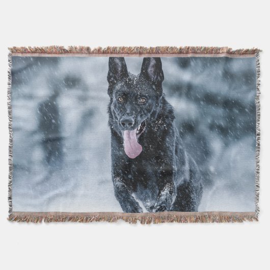 Schwarzer Schäfer im Schnee Decke (Vorderseite)