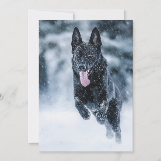 Schwarzer Schäfer im Schnee Einladung (Vorderseite)