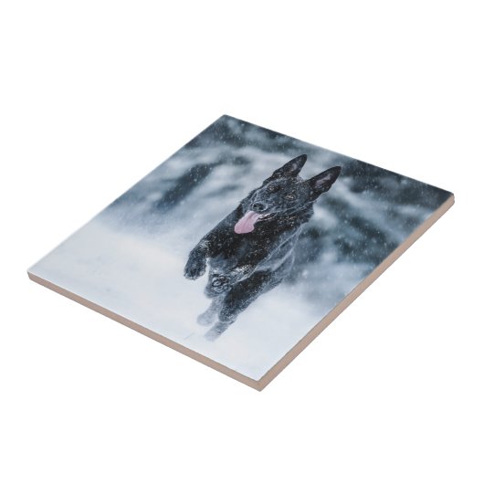 Schwarzer Schäfer im Schnee Fliese (Seite)