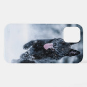 Schwarzer Schäfer im Schnee iPhone Hülle (Rückseite (Horizontal))