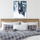 Schwarzer Schäfer im Schnee Leinwanddruck (Insitu (Schlafzimmer))