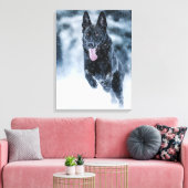 Schwarzer Schäfer im Schnee Leinwanddruck (Insitu (Wohnzimmer))
