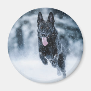 Schwarzer Schäfer im Schnee Magnet