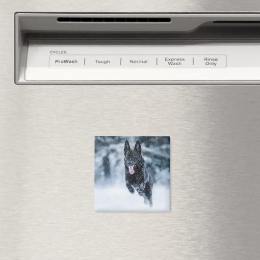 Schwarzer Schäfer im Schnee Magnet (In Situ (Geschirrspüler))