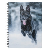 Schwarzer Schäfer im Schnee Notizblock (Vorderseite)