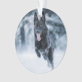 Schwarzer Schäfer im Schnee Ornament (Vorderseite)