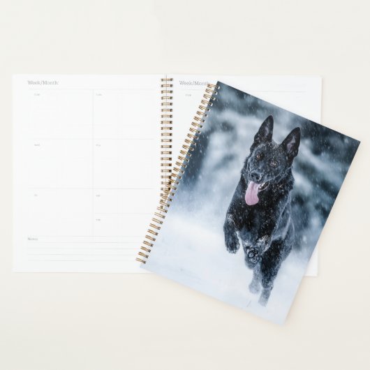 Schwarzer Schäfer im Schnee Planer (Anzeige)