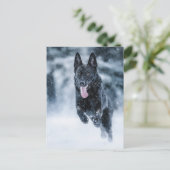 Schwarzer Schäfer im Schnee Postkarte (Stehend Vorderseite)