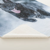 Schwarzer Schäfer im Schnee Sherpadecke (3/4)