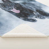 Schwarzer Schäfer im Schnee Sherpadecke (3/4)