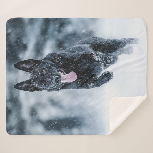 Schwarzer Schäfer im Schnee Sherpadecke (Vorderseite (Horizontal))