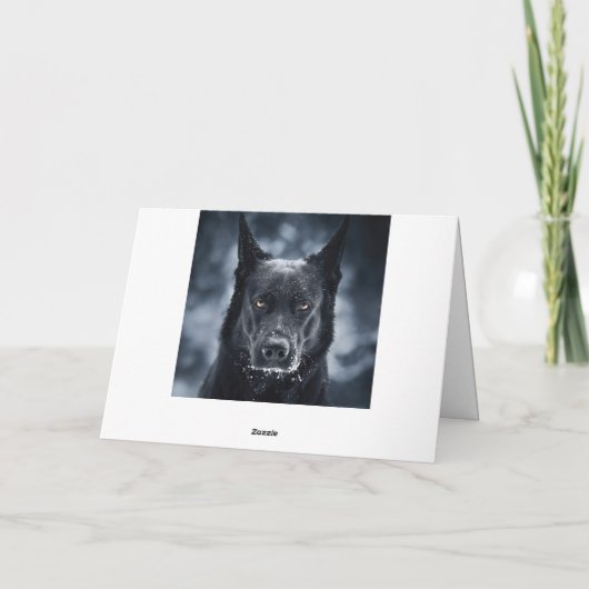 Schwarzer Schäfer Karte (Rückseite)