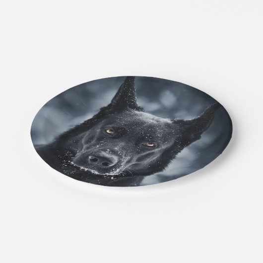 Schwarzer Schäfer Pappteller (Schrägansicht)