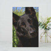 schwarzer Schäferhund Briefpapier (Stehend Vorderseite)