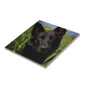 schwarzer Schäferhund Fliese (Seite)
