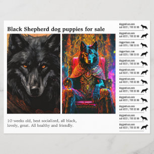 Schwarzer Schäferhund Flyer