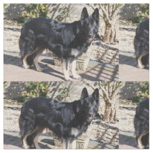 schwarzer Schäferhund full.png Stoff