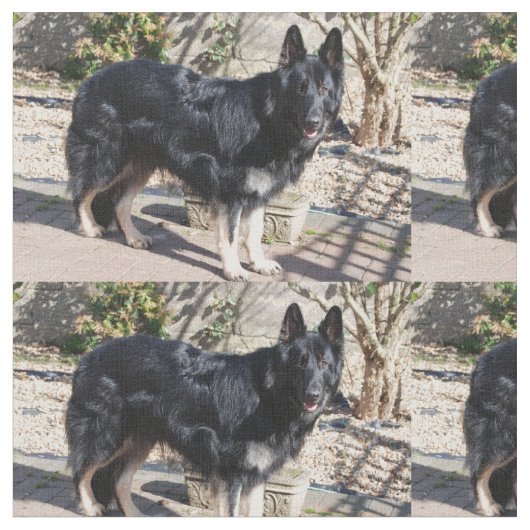 schwarzer Schäferhund full.png Stoff (Nahaufnahme)