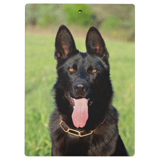 Schwarzer Schäferhund - GSD Welpe Klemmbrett (Rückseite)