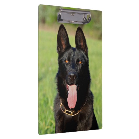 Schwarzer Schäferhund - GSD Welpe Klemmbrett (Rechts)
