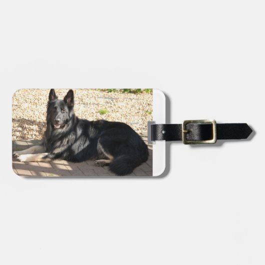 schwarzer Schäferhund laying.png Gepäckanhänger (Vorderseite horizontal)