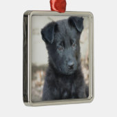 Schwarzer Schäferhund-Welpe Silbernes Ornament (Rechts)