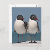 Schwarzer Schluchten Postkarte (Vorne/Hinten)