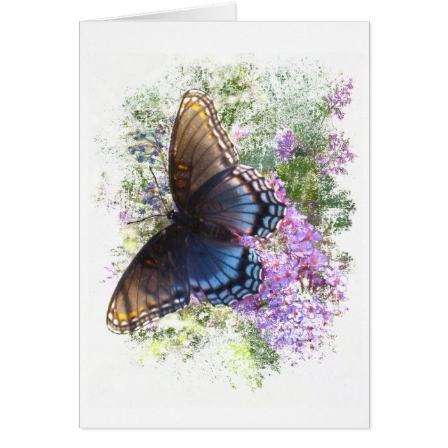 Schwarzer Schmetterling #2 (Vorne)