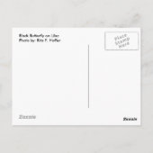 Schwarzer Schmetterling auf der Lilac Postkarte (Rückseite)