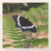 Schwarzer Schmetterling auf Untersetzer aus Fern-G (Vorderseite)
