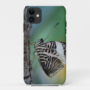 Schwarzer Schmetterling iPhone 11 Hülle