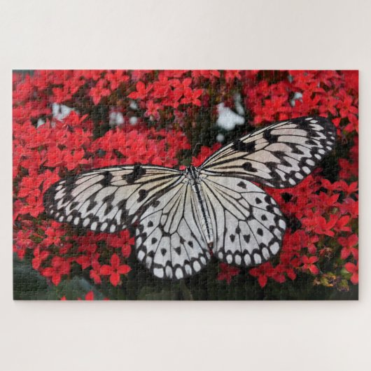Schwarzer Schmetterling in der Roten Blume Bush Puzzle (Horizontal)