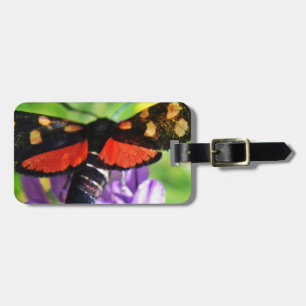 Schwarzer Schmetterling mit roten Flügeln und rote Gepäckanhänger