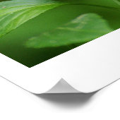 Schwarzer Schmetterling Poster (Ecke)