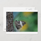 Schwarzer Schmetterling Postkarte (Vorne/Hinten)
