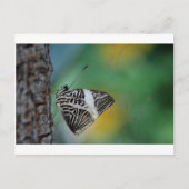 Schwarzer Schmetterling Postkarte (Vorderseite)