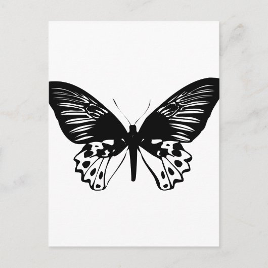 Schwarzer Schmetterling Postkarte (Vorderseite)