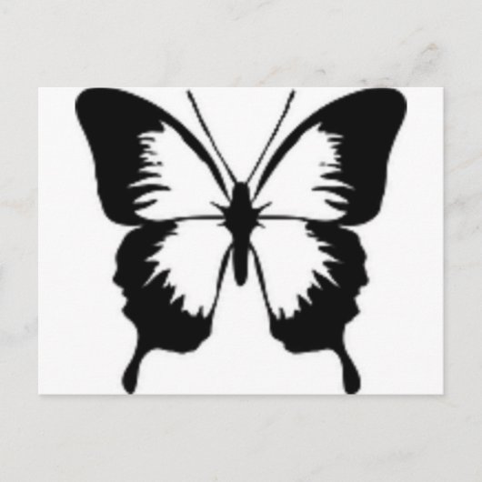 Schwarzer Schmetterling Postkarte (Vorderseite)