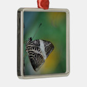 Schwarzer Schmetterling Silbernes Ornament (Rechts)