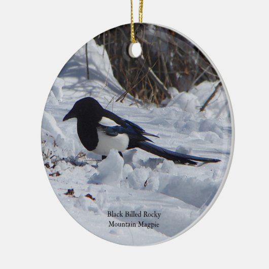 Schwarzer Schmuck aus dem Rocky Mountain Magpie Keramik Ornament (Links)