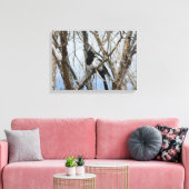 Schwarzer-Schnabel-Magpie, Colorado Leinwanddruck (Insitu (Wohnzimmer))