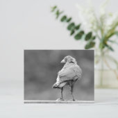 Schwarzer Schnitt Postkarte (Stehend Vorderseite)