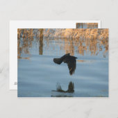 Schwarzer Schnitt Postkarte (Vorne/Hinten)