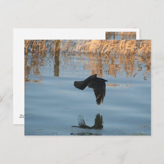 Schwarzer Schnitt Postkarte (Vorne/Hinten)