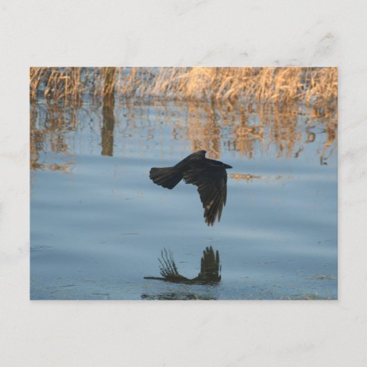 Schwarzer Schnitt Postkarte (Vorderseite)