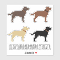 Schwarzer Schokolade Gelb und Rot Labrador Retriev