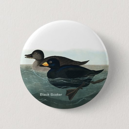 Schwarzer Schotter, Audubon, Seehühner, Vogelbeoba Button (Vorderseite)
